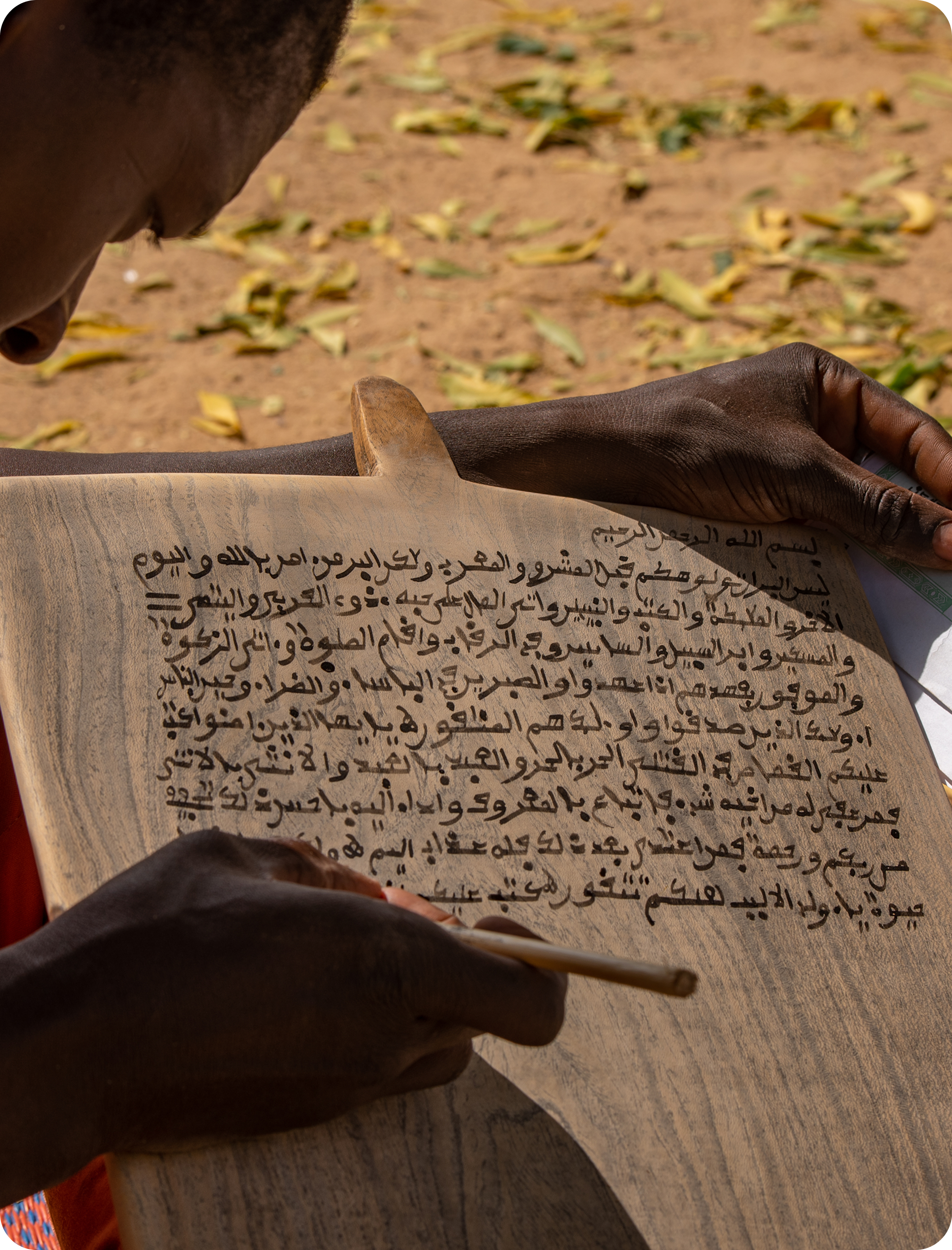 Islamic Studies